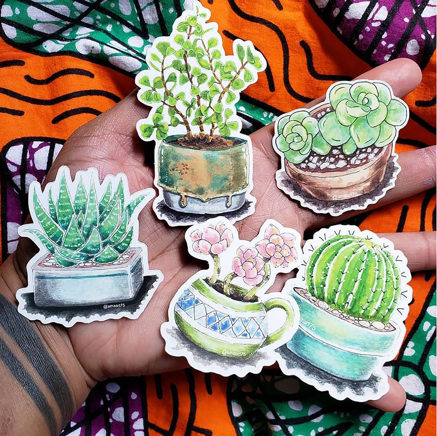 Succulent Babies