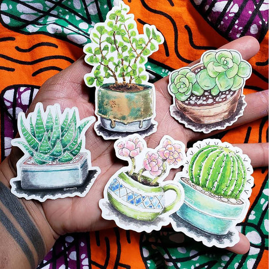 Succulent Babies