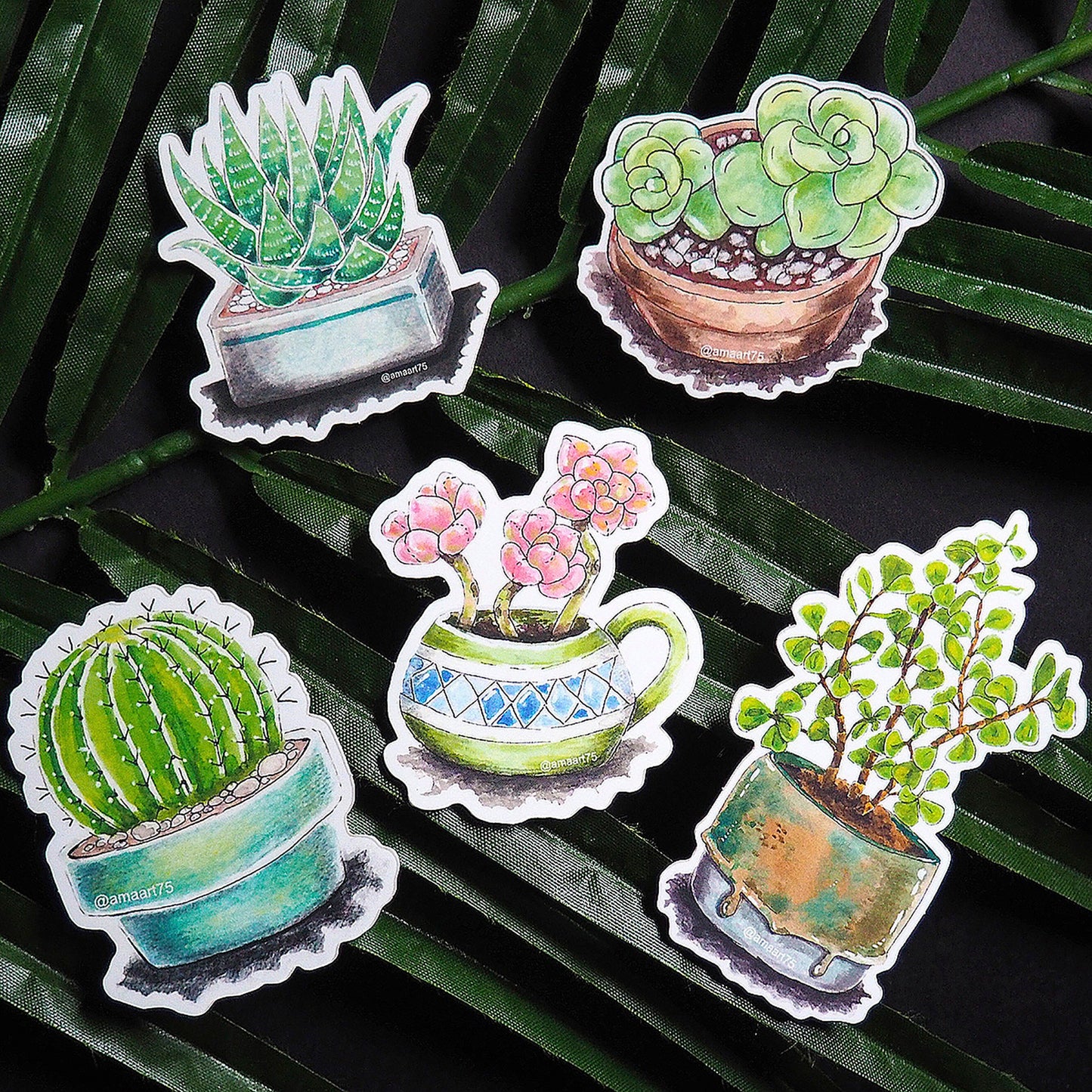 Succulent Babies
