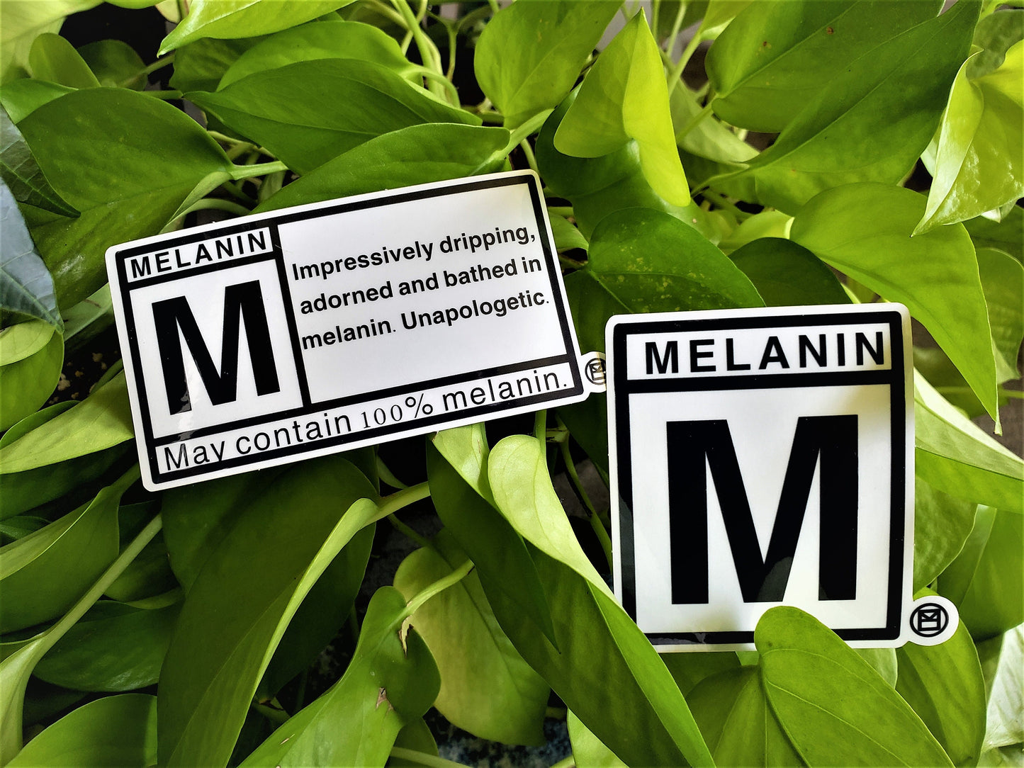Rated M for Melanin
